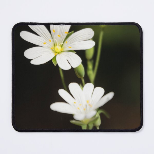 Item preview, Beautiful woodland blooms designed and sold by JEZ22.