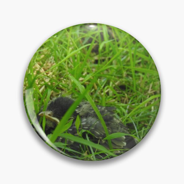Item preview, Baby robin designed and sold by Faunagraphy360.
