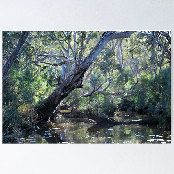 Item preview, Down at Emu Creek By Lorraine McCarthy designed and sold by Lorraine McCarthy.