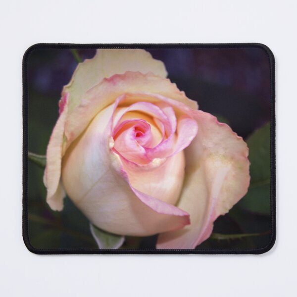 Item preview, Pink-tipped highlights designed and sold by B. Randi Bailey.