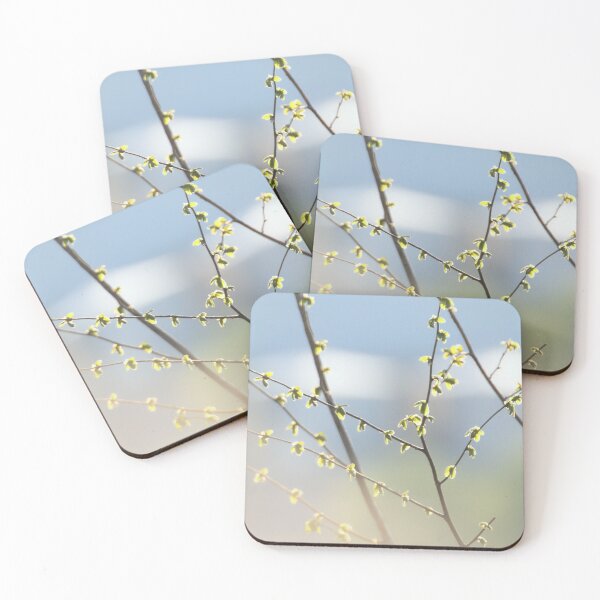 Item preview, Nature photography in the city designed and sold by WTWrb.