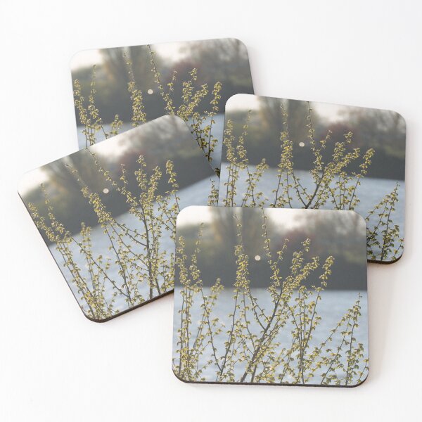 Item preview, Nature photography in the city designed and sold by WTWrb.