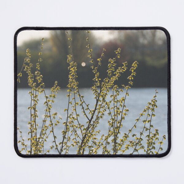 Item preview, Nature photography in the city designed and sold by WTWrb.