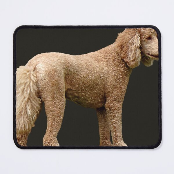 Item preview, Apricot Poodle designed and sold by Susan Savad.