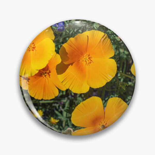 Item preview, California Poppies designed and sold by beenplanted.