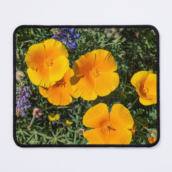 Item preview, California Poppies designed and sold by beenplanted.