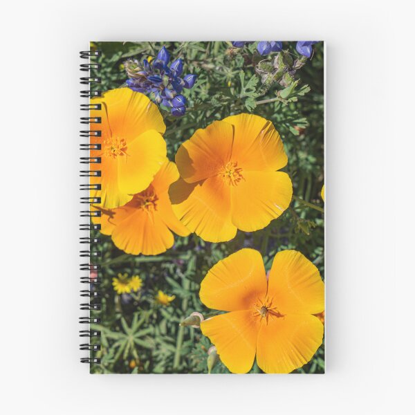 Item preview, California Poppies designed and sold by beenplanted.