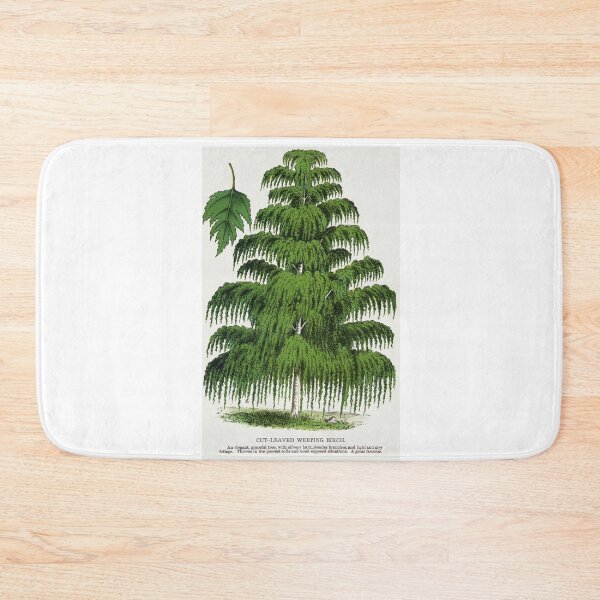 Item preview, Weeping Birch tree lithograph designed and sold by Earth Nature Creations.