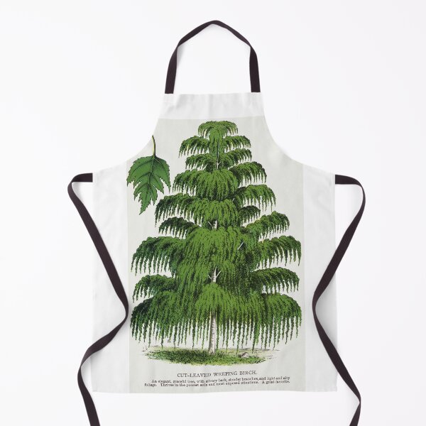 Item preview, Weeping Birch tree lithograph designed and sold by Earth Nature Creations.