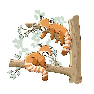 Artwork thumbnail, Red Pandas on a Lazy Day by RhondaLuluArt