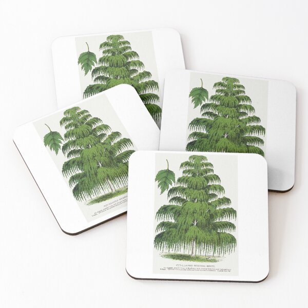 Item preview, Weeping Birch tree lithograph designed and sold by Earth Nature Creations.