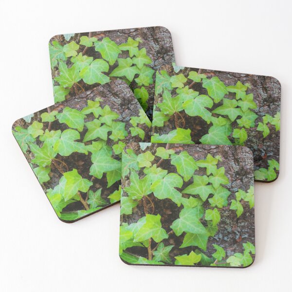 Item preview, Vibrant  designed and sold by TomikoKH19.