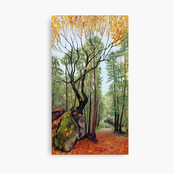 Letting Go of the Sky Canvas Print