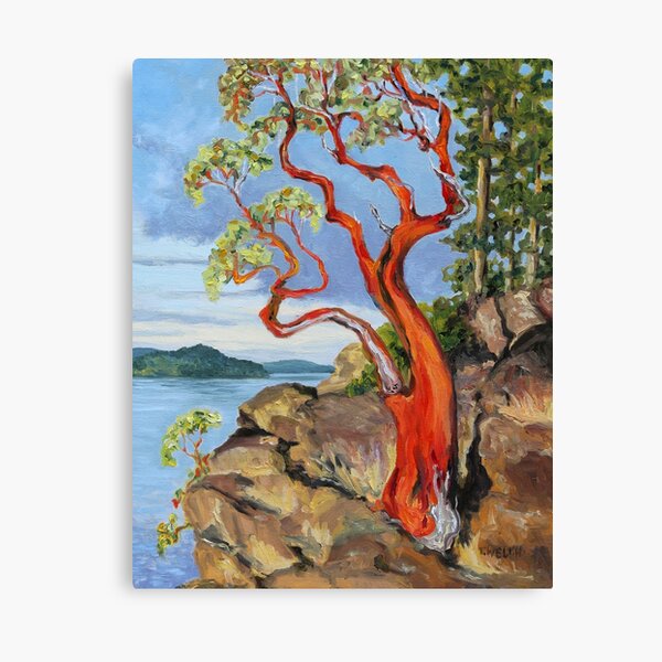 Arbutus Glowing After the Rain Canvas Print