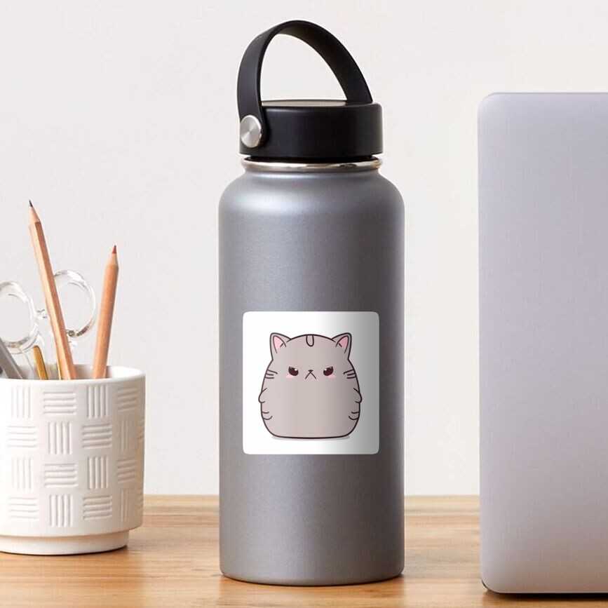 Pusheen Stainless Steel Waterbottle – Pusheen Shop