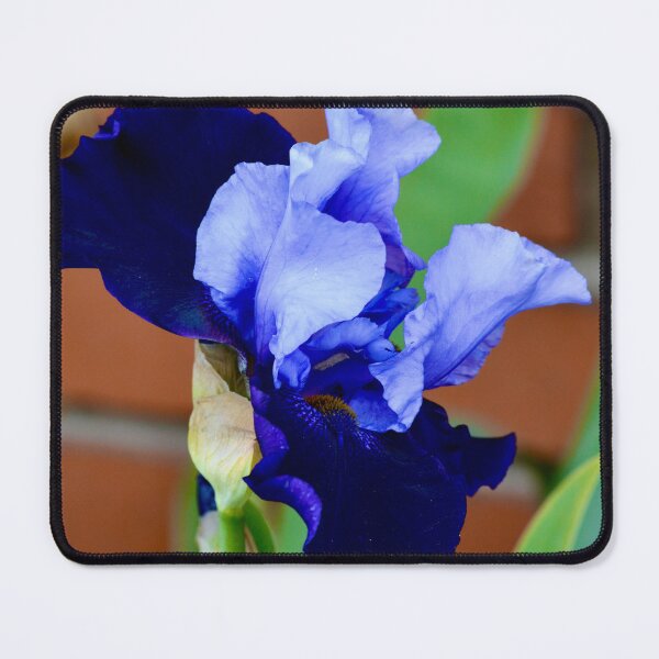 Item preview, The Beauty of the Bearded Iris designed and sold by Warren Thompson.