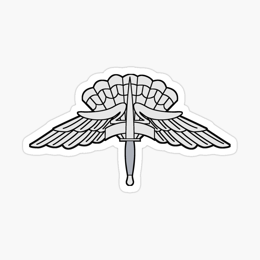 Military Freefall Badge