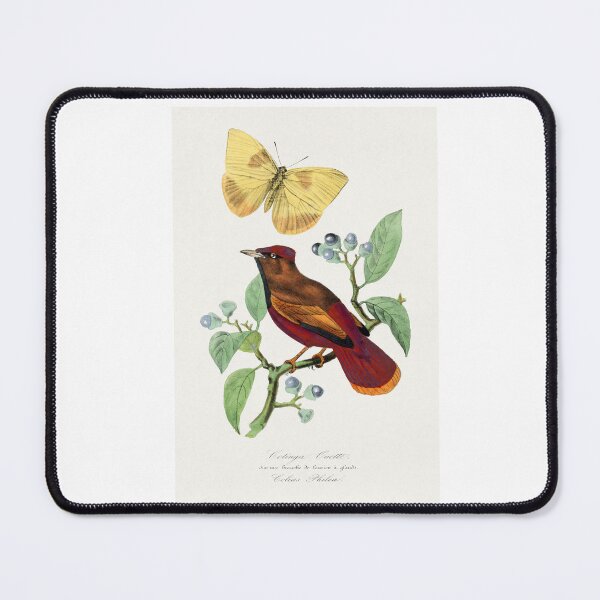 Item preview, Red Lark with yellow butterfly by Paul Gervais designed and sold by Earth Nature Creations.