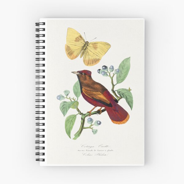 Item preview, Red Lark with yellow butterfly by Paul Gervais designed and sold by Earth Nature Creations.