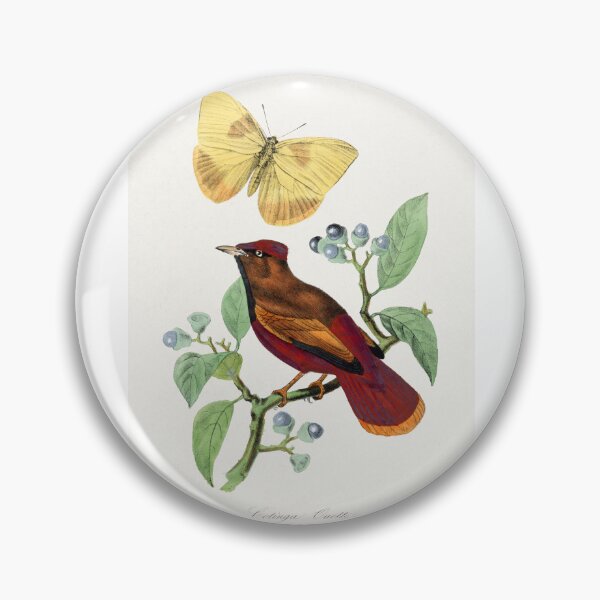 Item preview, Red Lark with yellow butterfly by Paul Gervais designed and sold by Earth Nature Creations.