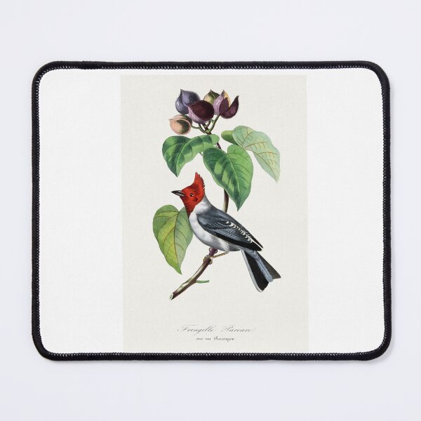 Item preview, Fringilla bird painting - Le Jardin Des Plantes by Paul Gervais designed and sold by Earth Nature Creations.