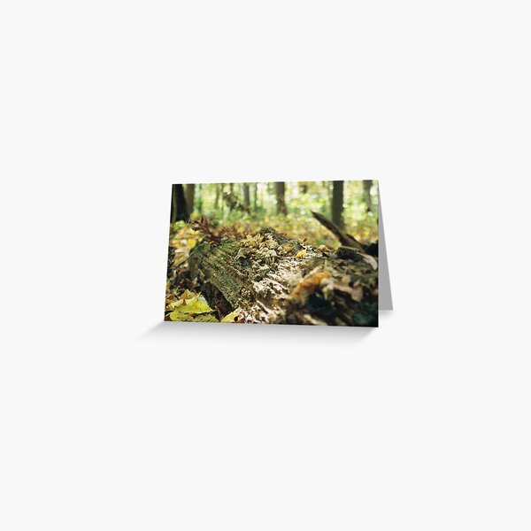A Secret Life Greeting Card