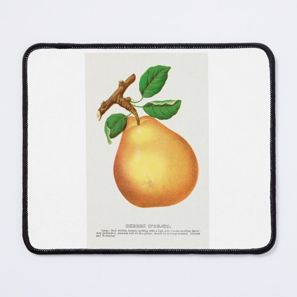 Item preview, Beurre D'Anjou pear lithograph from Botanical Specimen painting - Le Jardin Des Plantes by Paul Gervais designed and sold by Earth Nature Creations.
