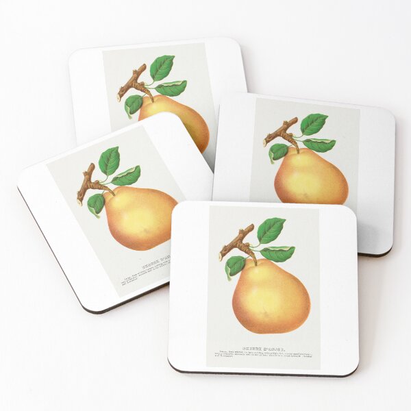 Item preview, Beurre D'Anjou pear lithograph from Botanical Specimen painting - Le Jardin Des Plantes by Paul Gervais designed and sold by Earth Nature Creations.