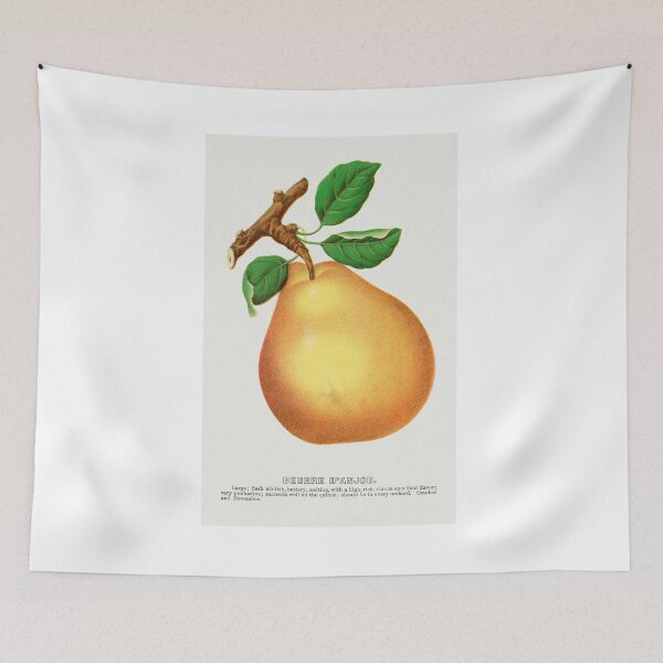 Item preview, Beurre D'Anjou pear lithograph from Botanical Specimen painting - Le Jardin Des Plantes by Paul Gervais designed and sold by Earth Nature Creations.