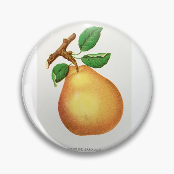 Item preview, Beurre D'Anjou pear lithograph from Botanical Specimen painting - Le Jardin Des Plantes by Paul Gervais designed and sold by Earth Nature Creations.