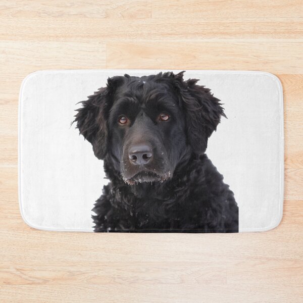 Item preview, Curly Coated Retriever designed and sold by HookedOnDogz.