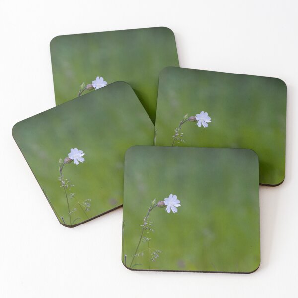 Item preview, White campion designed and sold by BigBadJogr.