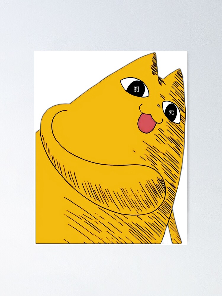 ★CHIYO★です(*^^*) 61krJKbdboL._UF350,350_QL50_.jpg