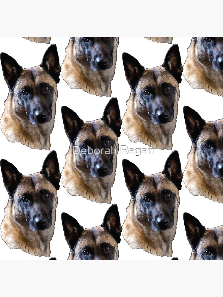 malinois plush