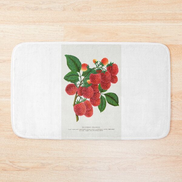 Item preview, Shaffer's Colossal Raspberry lithograph from Botanical Specimen painting - Le Jardin Des Plantes by Paul Gervais designed and sold by Earth Nature Creations.