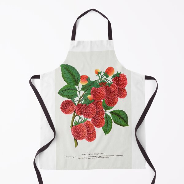 Item preview, Shaffer's Colossal Raspberry lithograph from Botanical Specimen painting - Le Jardin Des Plantes by Paul Gervais designed and sold by Earth Nature Creations.