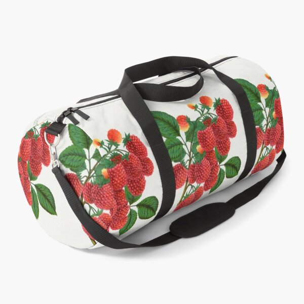 Item preview, Shaffer's Colossal Raspberry lithograph from Botanical Specimen painting - Le Jardin Des Plantes by Paul Gervais designed and sold by Earth Nature Creations.