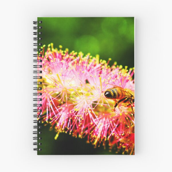 Item preview, Bottlebrush and Bees designed and sold by VMKPhotography.