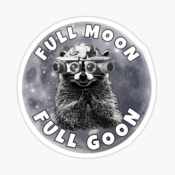 Raccoon - Moon - Sticker