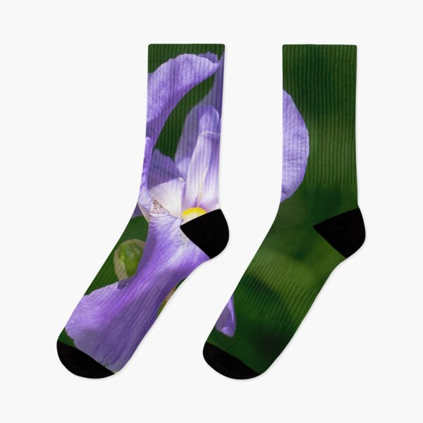 Item preview, Pale Purple Silk - Bearded German Iris in Bloom designed and sold by Georgia Mizuleva.