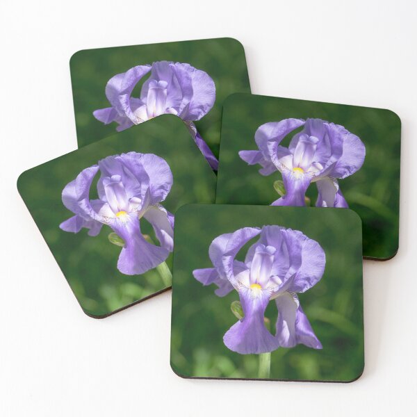 Item preview, Pale Purple Silk - Bearded German Iris in Bloom designed and sold by Georgia Mizuleva.
