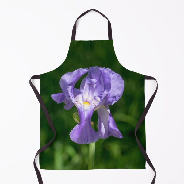 Item preview, Pale Purple Silk - Bearded German Iris in Bloom designed and sold by Georgia Mizuleva.