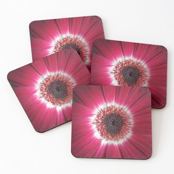Item preview, Gerber Daisy designed and sold by VioletVends.
