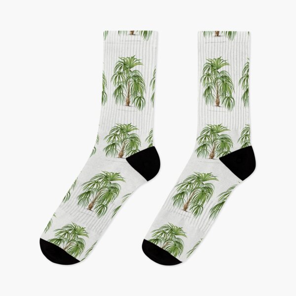 Item preview, Vintage palm tree illustration painting by Paul Gervais. designed and sold by Earth Nature Creations.
