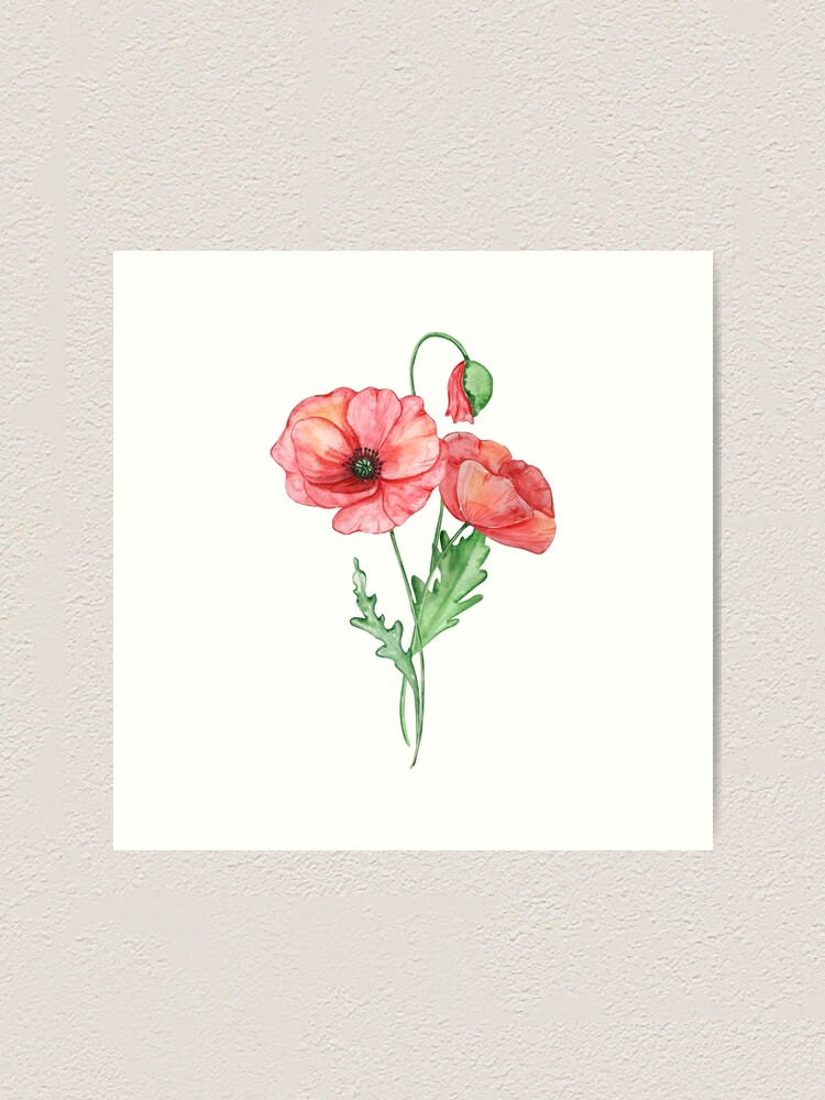 Birth Flower Poppy, Birth Flower Watercolor Print, Botanical Floral Illustration, Birth Month Art, Wall Decor, Gifts for Her, set of 2 cheapest Poppy