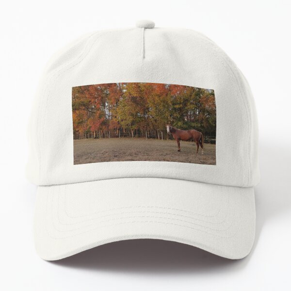 Aperçu de l'œuvre Le Quarter Horse a besoin de foin créée et vendue par CrissyAnderson.