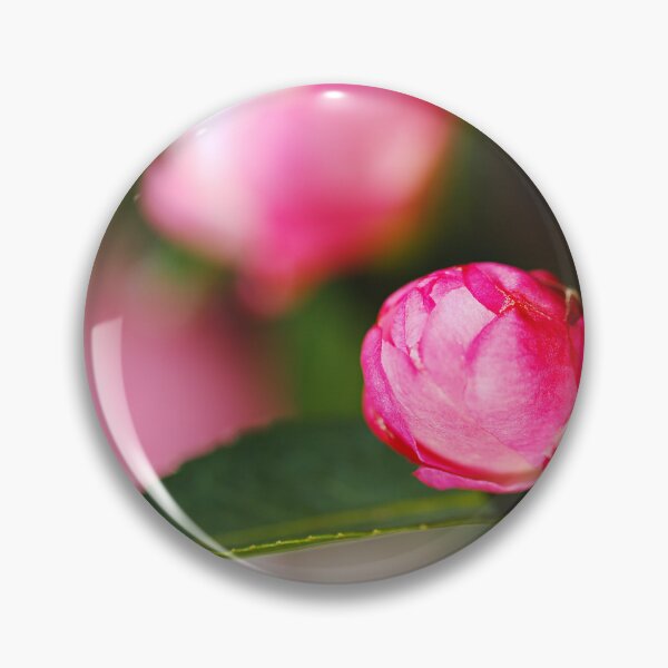 Item preview, Pink Japonica Camellia Bud  designed and sold by Joy Watson - Natural Light Photography .