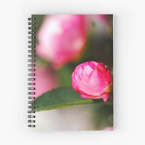 Item preview, Pink Japonica Camellia Bud  designed and sold by Joy Watson - Natural Light Photography .