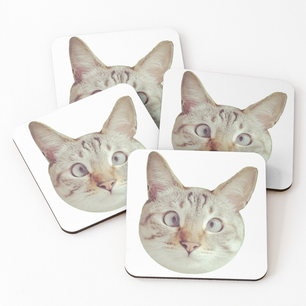 Katze Untersetzer Er Set Von Ghjura Redbubble