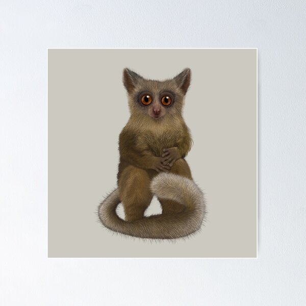Item preview, Peeking Mohol Bush Baby, Bush Baby Shirt, Mohol Bush Baby, Mohol Bush Baby Lover Gift, Galago, African Wildlife, Primate designed and sold by DogLifeCo.